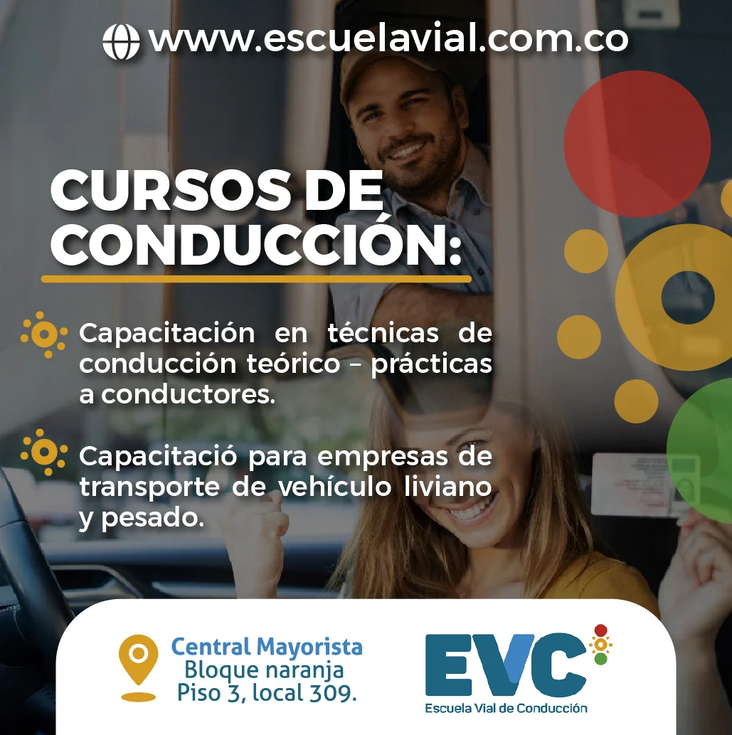 Escuela vial mayorista